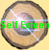 Self Esteem