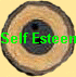 Self Esteem